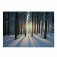 thumbnail image 1 of Winter Cutting Board, Appearance of Sunset in Woodlands with Freezing Idyllic Nature Scenery, Decorative Tempered Glass Cutting and Serving Board, Small Size, Brown White, by Ambesonne, 1 of 1