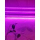 thumbnail image 2 of 1pc Plant Growth Lamp Strip, 2 of 5