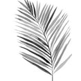 thumbnail image 2 of PI Studio 20x24 White Modern Wood Framed Museum Art Print Titled - BW Palm IV, 2 of 4
