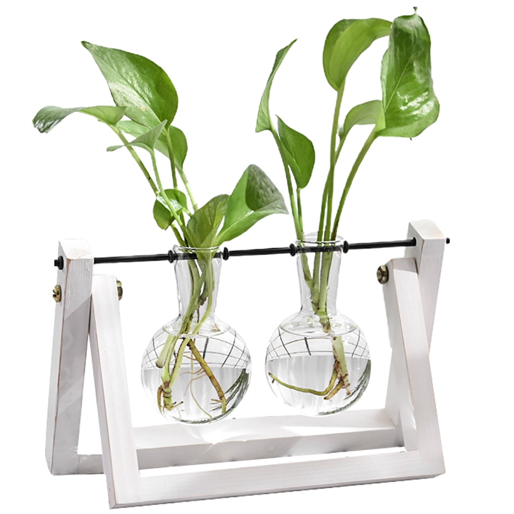 Plant Terrarium Retro Small Clear Air Planter Bulb Glass Vase with