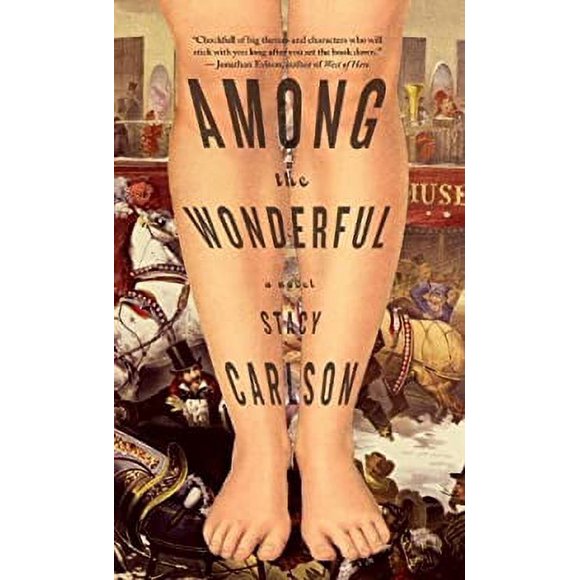 Pre-Owned Among the Wonderful : A Novel 9781586422011