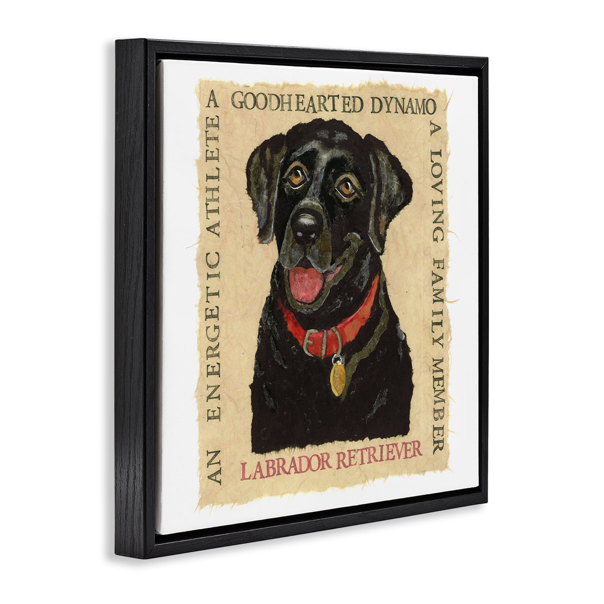 Stupell Industries Fun Black Labrador Phrases Animals Painting Black Floater Framed Canvas Art Print Wall Art, 18 x 18