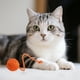 thumbnail image 4 of Juguetes masticables duraderos para perros y gatos. Juguete natural de yute para mascotas, para interior y exterior., 4 of 5