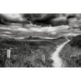 thumbnail image 3 of Aledanda 18x13 Black Modern Framed Museum Art Print Titled - Nantucket Pathway, 3 of 5