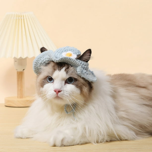 Autumn Winter Cat Hat Elastic Cute Refined Pet Hat Puppy Kittens
