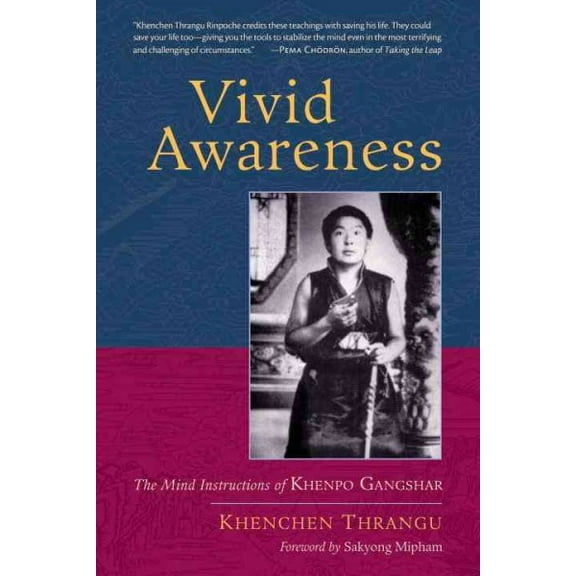 Vivid Awareness : The Mind Instructions of Khenpo Gangshar (Paperback)