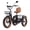 Brown, variant on NOMIGO Two Seater Electric Tricycle with 7 Speed 3 Wheel Electric Bicycle Max 20MPH 20*4.0" Fat Tire ,48V 20Ah Lithium Battery 750W Motor Electric Tricycle for Adults with 2 Baskets Red