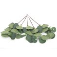 thumbnail image 5 of Dekaim 5 Piezas De Plantas Artificiales Hojas De Imitación, Decoración De Bricolaje Realista De Simulación, para El Hogar, Jardín, Oficina, Boda, 5 of 5