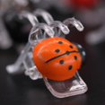 thumbnail image 1 of Durable 5-Claw Ladybug Orchid Clips Garden Plant Support Clamp Climbing Flowers Vine Fixer Colorful Ladybird Bonsai Decoration48pcs He Qiyong unisex, 1 of 2