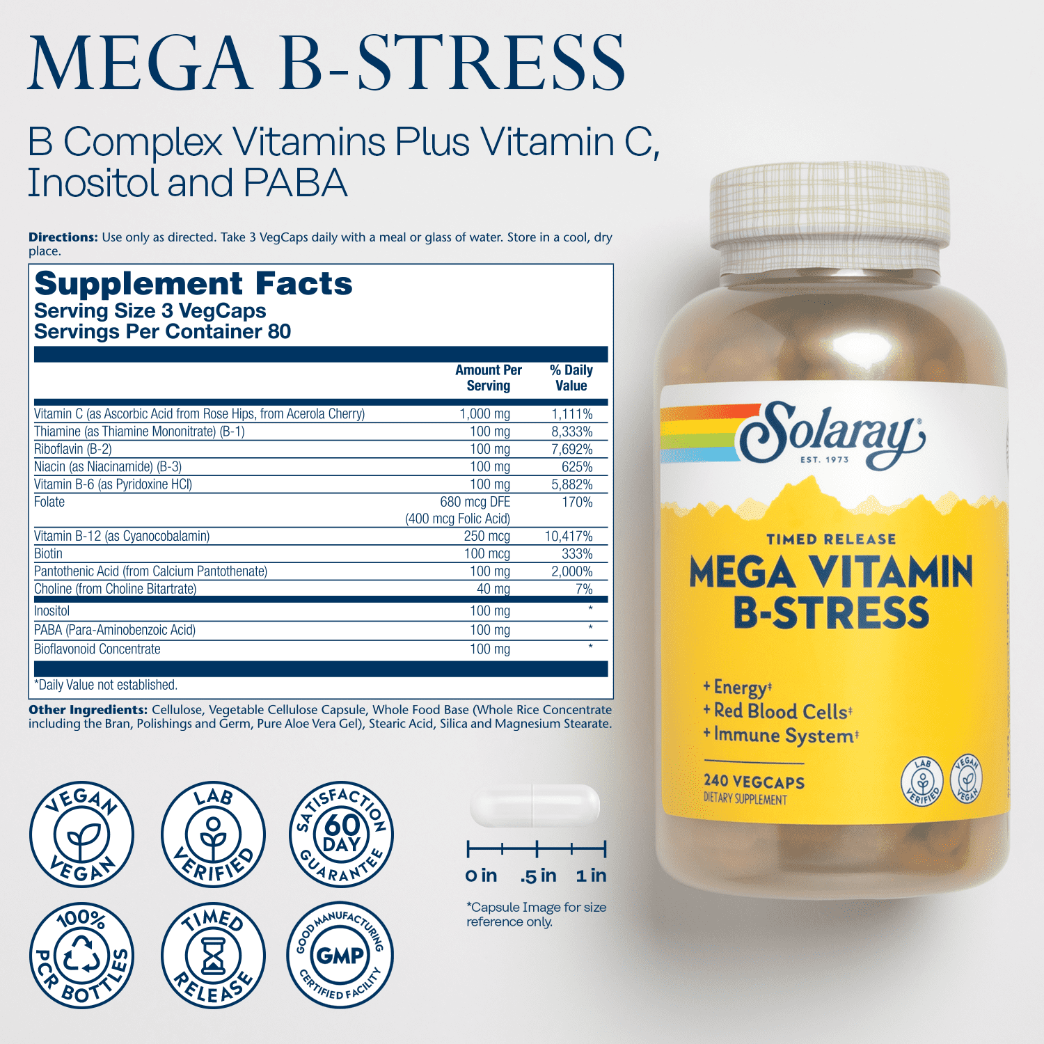 Solaray Mega Vitamin B-Stress, Two-Stage Timed-Release | Specially Formulated w/ B Complex Vitamins for Stress Support | Non-GMO | Vegan | 240 Tabs