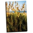 thumbnail image 2 of Gango Home Decor A Perfect Day 4 by Alan Hausenflock (Ready to Hang); One 24x36in Hand-Stretched Canvas, 2 of 4