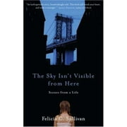 The Sky Isn't Visible from Here: Scenes from a Life [Hardcover - Used]