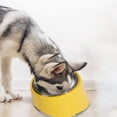 thumbnail image 4 of Cuenco inclinable, suministros para perros y gatos, cuenco de comida, cuenco de acero inoxidable, cuenco para perros, cuenco para gatos, cuenco de arroz, 4 of 5