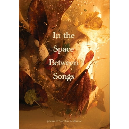 In the Space Between Songs, (Paperback)