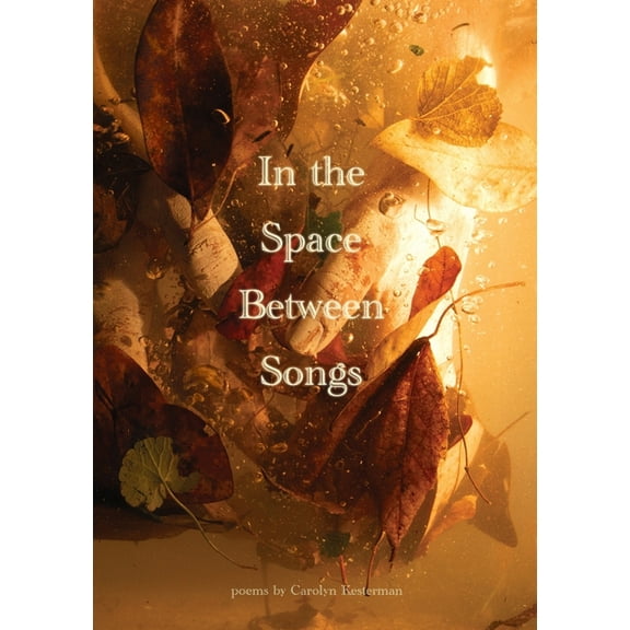 In the Space Between Songs, (Paperback)