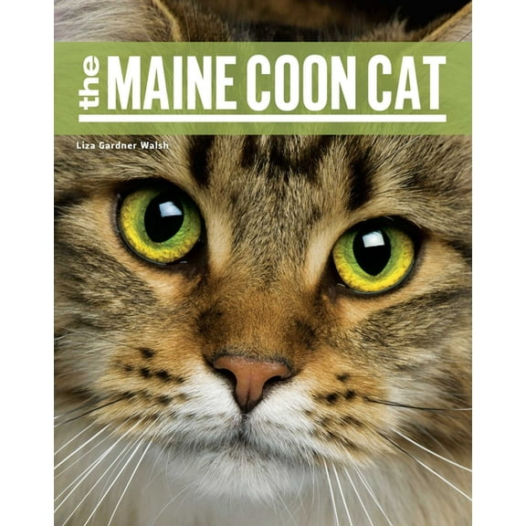 The Maine Coon Cat, (Paperback)