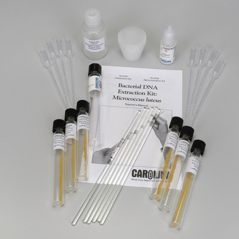 Bacterial Dna Extraction Kit Micrococcus Luteus