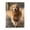 500 Pieces, variant on 500-Piece Wooden Jigsaw Puzzle for Adults - Golden Retriever Outdoors Run , Fun & Relaxing Interlocking No-Dust Puzzle for Family, Home Decor & Holiday Gifts