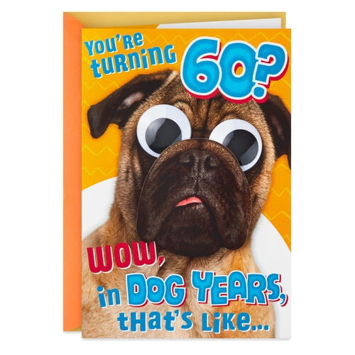Dog Years Funny 60th Birthday Card Dog Years Funny 60th Birthday Card