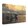 thumbnail image 4 of Trademark Fine Art Geno Peoples Wood Ducks Canvas Wall Art - 12x19, 4 of 5