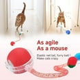 thumbnail image 2 of 1 Packs Speed 2.0 Tail Interactive Cat Toys for Indoor Cats, Chirping & Motion Activate Cat Toy, Smart Kitten Rolling Ball Moving Ball Toys, Rechargeable Dog Cats Bal l for Enrichment Exercise, 2 of 9