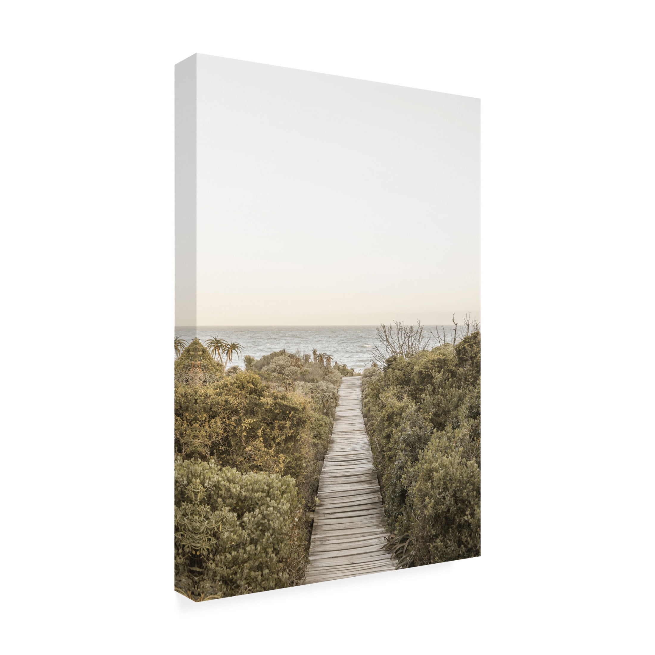 Trademark Fine Art Shot by Clint Boardwalk Canvas Wall Art