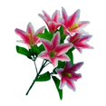 thumbnail image 1 of Arreglos Florales Gloria 6 uds Rosa, 1 of 9
