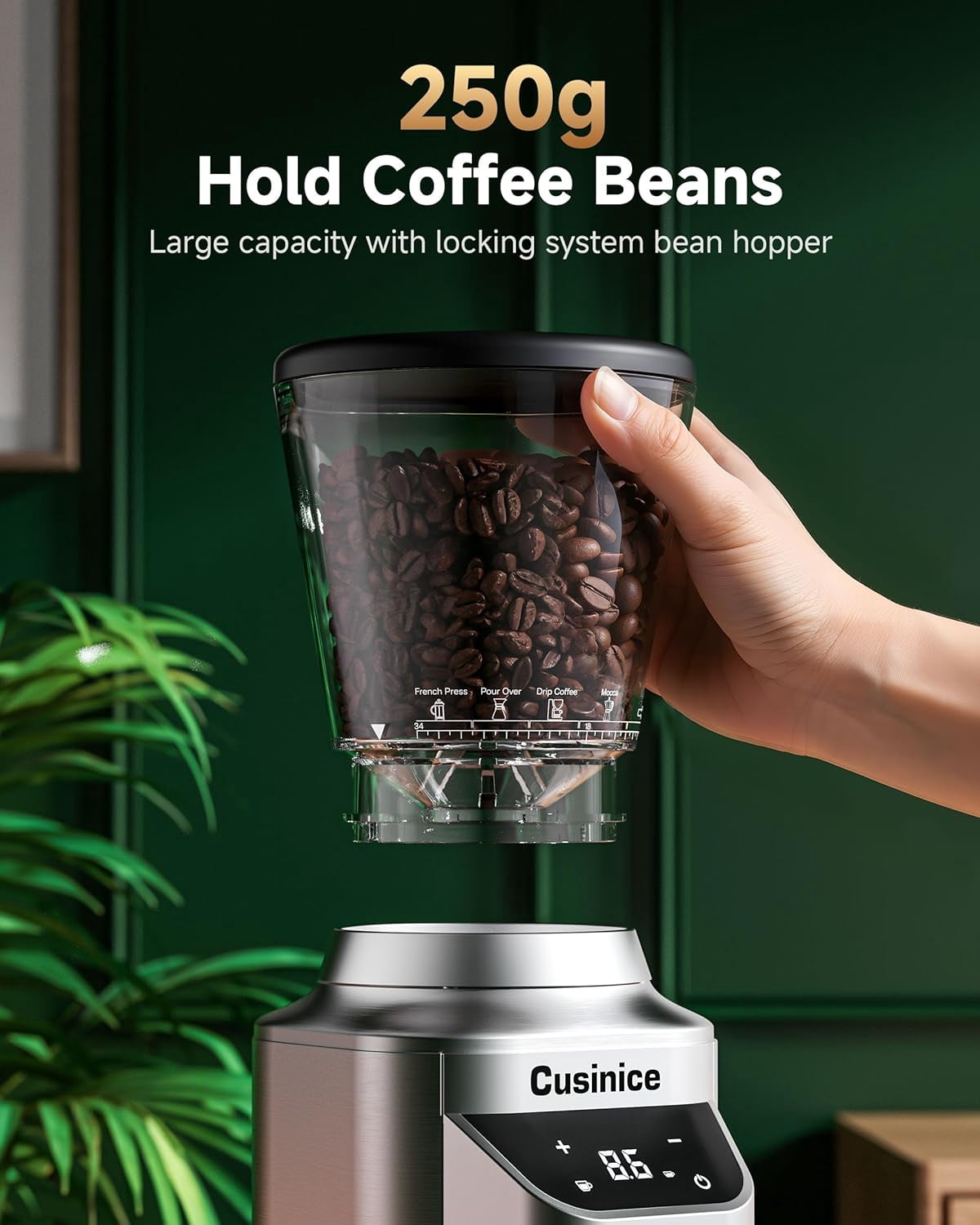 Conical Burr Coffee Grinder with 40mm Stainless Steel, 34 Settings & Anti-Static for Home Espresso