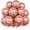 Rose Gold, variant on Sage Green Balloons, 50Pack 12 Inch Light Green Latex Party Balloons for Safari Woodland Baby Shower Jungle Birthday Party Decorations