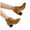 Brown, variant on Women's Brown Ankle Boots Chunky Heel Leather Platform Fall Booties Heeled Short Dress Boots with Buckle Strap