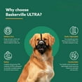 thumbnail image 6 of MUZZLE - Patented Humane Design, Breathable, Dog can Pant and Drink, Adjustable, Padded, Training Muzzle for Medium-sized Dogs, Prevents Biting, Wildlife Scavenging, 6 of 7