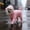 Pink, variant on FeiFu Waterproof Dog Raincoat with Hood for Small Dogs Rain Raincoat Jumpsuit with Rain Boots Puppy Hooded Slicker Rainwear Pet Rain Jacket for Walking