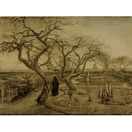 Winter Garden March 1884 Print Wall Art By Vincent Van Gogh