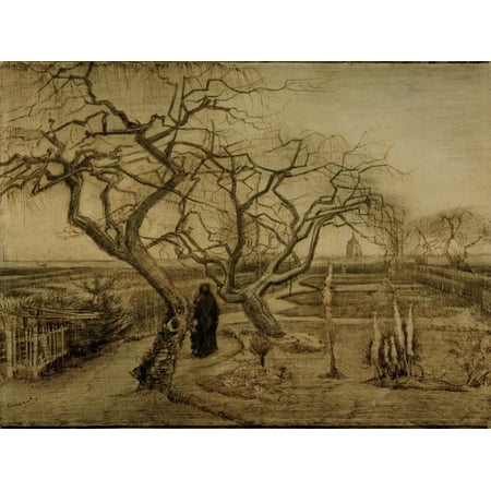 Winter Garden March 1884 Print Wall Art By Vincent Van Gogh