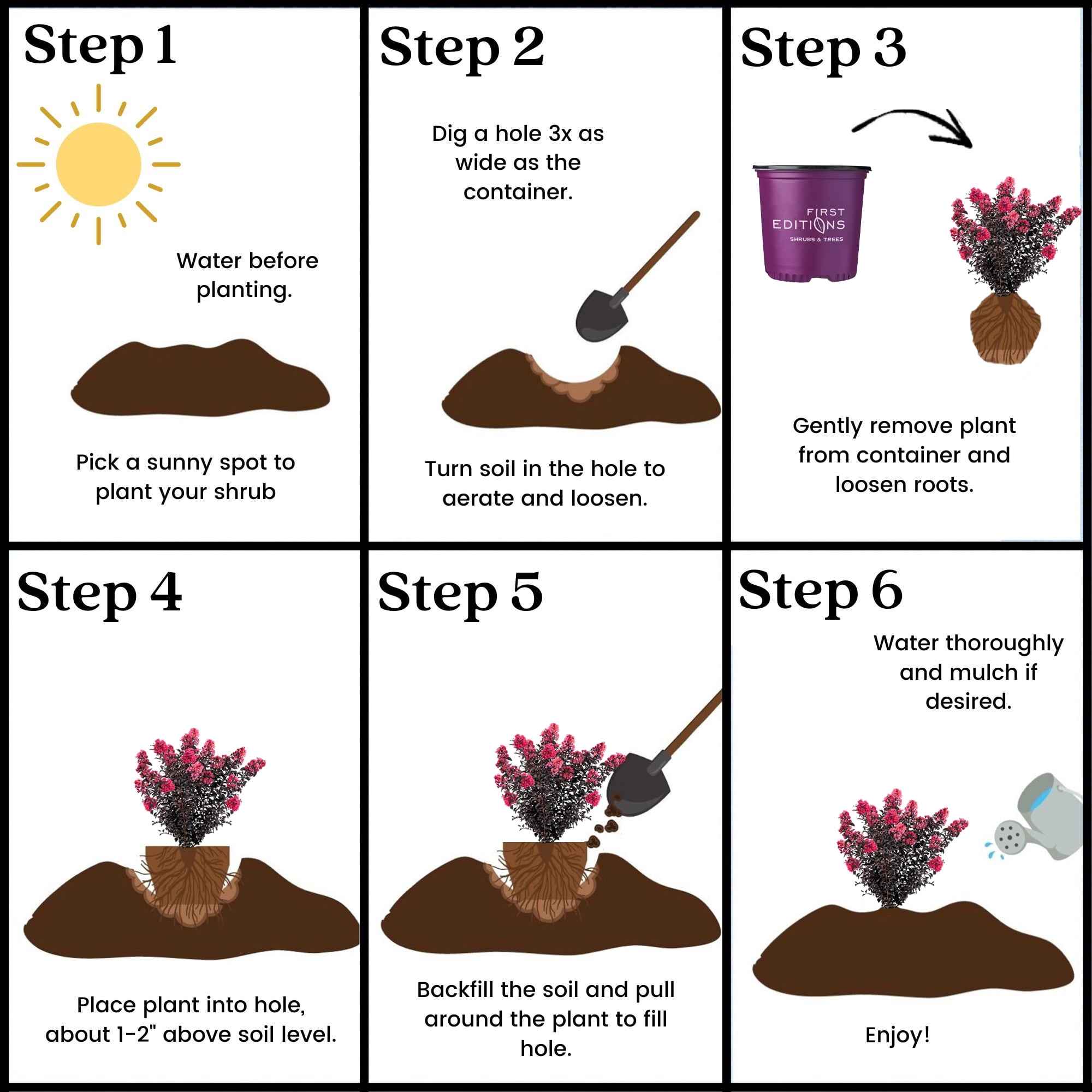 First Editions Midnight Magic Crape Myrtle Live Shrub (7 Gallon)