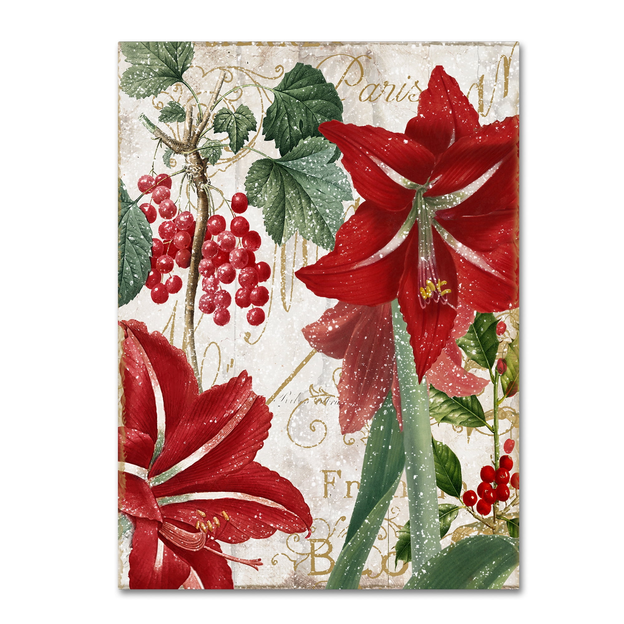 Color Bakery 'Amaryllis' 14 x 19 Canvas Art