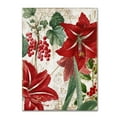 thumbnail image 2 of Color Bakery 'Amaryllis' 14 x 19 Canvas Art, 2 of 3