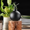 thumbnail image 1 of Botella espray de material acero inoxidable 304 negra, regadera mano, planta Mister para jardín, plantas, planta de limpieza interior DYNWAVEMX Botella de spray de riego, 1 of 8