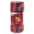 thumbnail image 1 of Pokemon Premium Fleece Blanket, 1 of 3