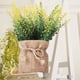 thumbnail image 5 of Macetas para Plantas Plantas Artificiales en Macetas de Flores, Mini Macetas de Flores, Plantas de Tela, Decoración Del Hogar, Fiestas, Bodas, Jardines, Mesas de Comedor, Oficinas, Decoración Del Pati, 5 of 6