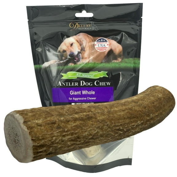 Deluxe Naturals 1-Pack Giant Whole Elk Antler Dog Chew, Natural Long-Lasting Chew Treat for Medium, Large, and Giant Dogs