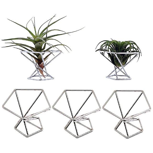 Paquete de 5 soportes para plantas, soportes para plantas, soporte para plantas purificadoras de Tillandsias, soporte para helechos, color plateado