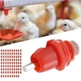 thumbnail image 3 of Chicken Nippler, 360 Degree Structure Design Chicken Water Feeder, Stainless Steel Water Feeder For Chicken, 3 of 5