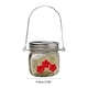 thumbnail image 4 of Greeniant Alimentador de pájaros, puertos de alimentación, tarro colgante, decoraciones de jardín, tamaño compacto, exquisitos accesorios de Juguetes para pájaros, 4 of 6
