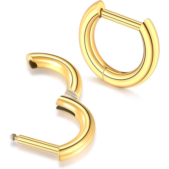 Titanium 16G D Shaped Nose Rings Hoops 8/10/12mm - Higned Segment Clicker Septum Rings Daith Conch Cartilage Piercing Jewelry for Women Men, Silver/Gold, 2PCS