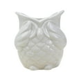 thumbnail image 3 of Maceta para plantas de interior, forma de búho, lindo estilo japonés, contenedor para decoración de interiores, oficina, hogar, balcón , Sin mirada, 3 of 8