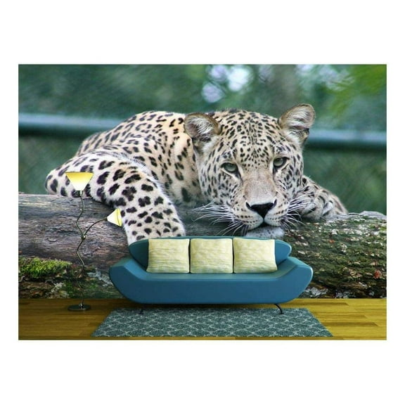 wall26 - Leopard Lying on an Old Tree Trunk - Removable Wall Mural | Self-Adhesive Large Wallpaper - 66x96 inches