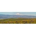 thumbnail image 2 of Eggers, Terry 14x7 Gold Ornate Wood Framed with Double Matting Museum Art Print Titled - USA-Washington State Panorama of Columbia River Gorge covered in arrowleaf balsamroot, 2 of 4