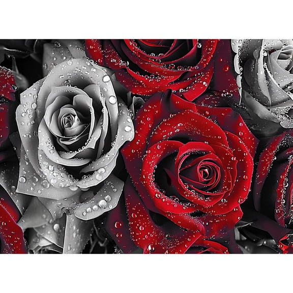 Black and White Rose 5D Diamond Art Painting by Number Kits for Adults DIY Paint with Round Full Drill Diamond Gems Painting Art Craft for Home Wall Decor 11.8x15.8in(1)