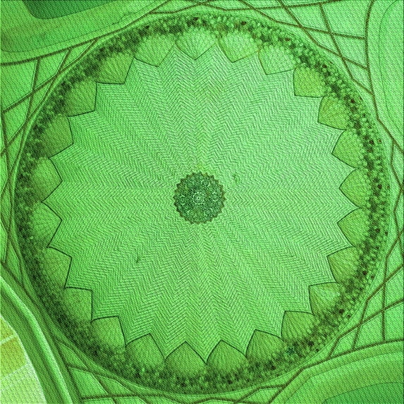 Ahgly Company Machine Washable Indoor Square Transitional Emerald Green Area Rugs, 5' Square